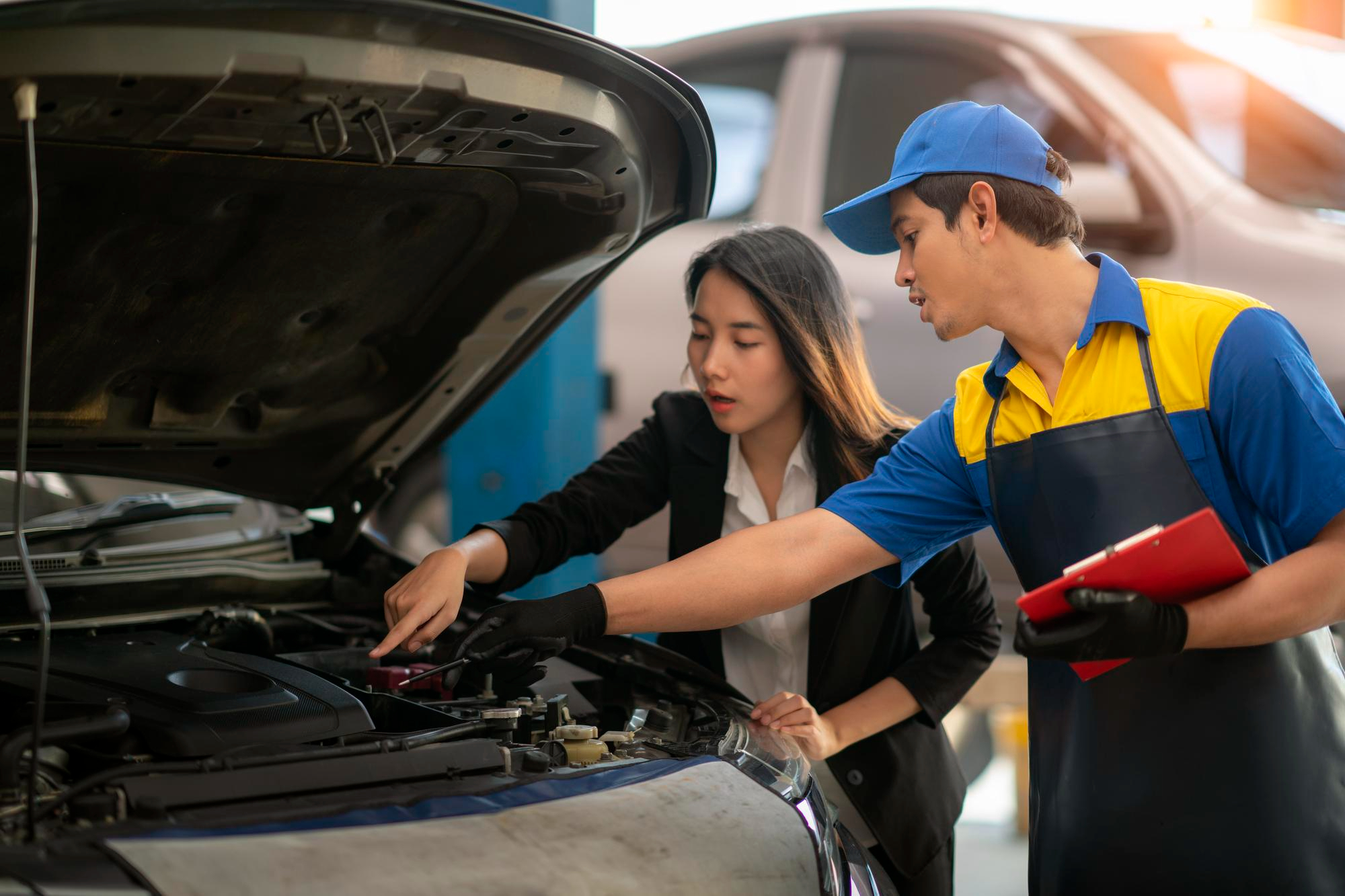 Professional Car Mechanic